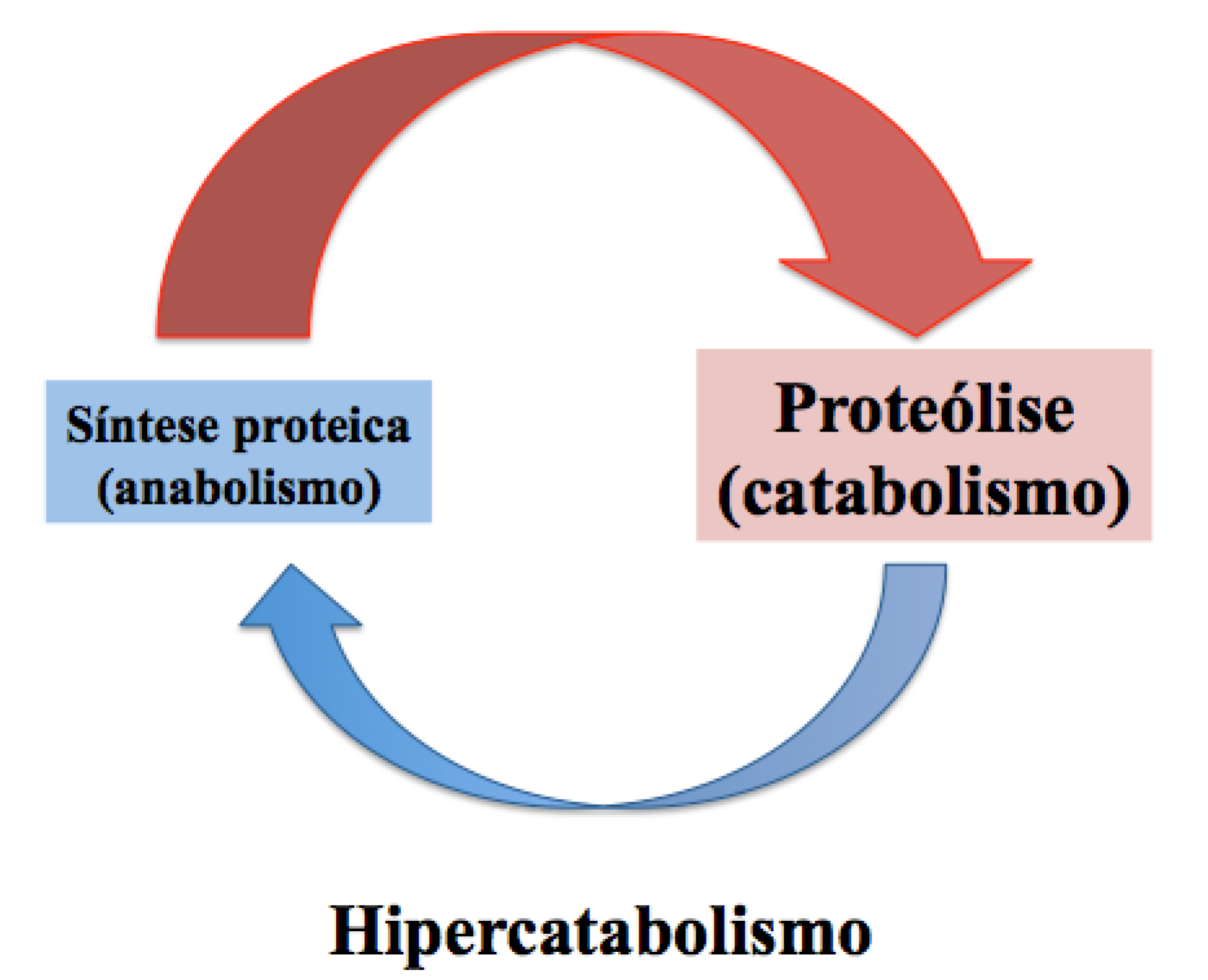 prescricao-de-exercicio-e-cancer-00