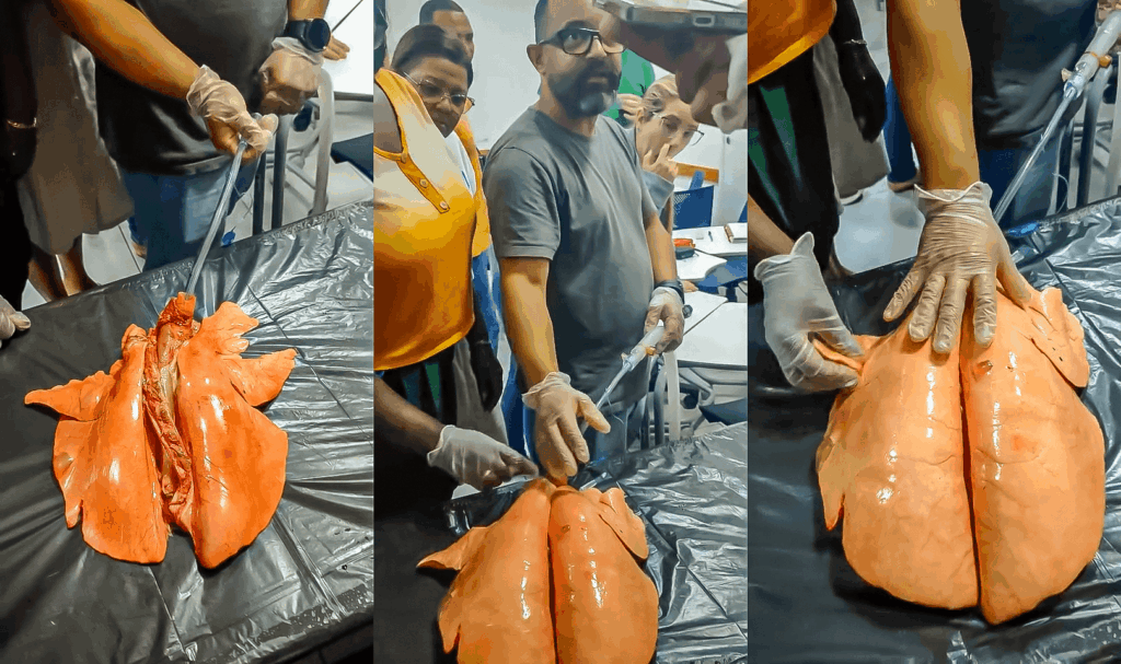 Curso Prático de Oxigenoterapia e Ventilação Mecânica em Juiz de Fora: Capacitação Intensiva que Eleva sua Segurança na UTI